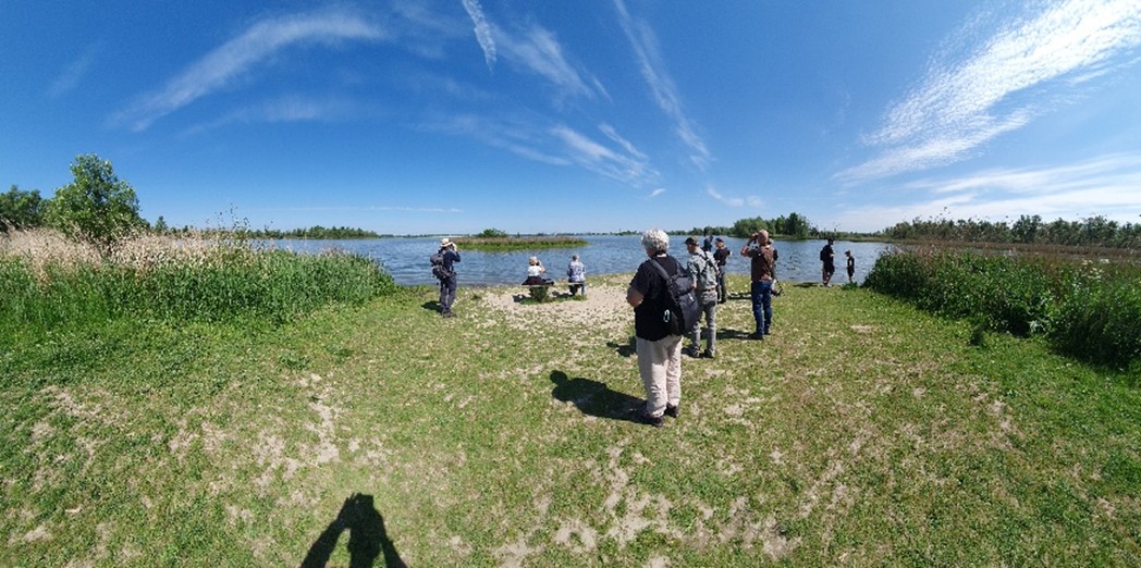 (Biesbosch). Foto van Onbekend.
Heerlijk uitzicht